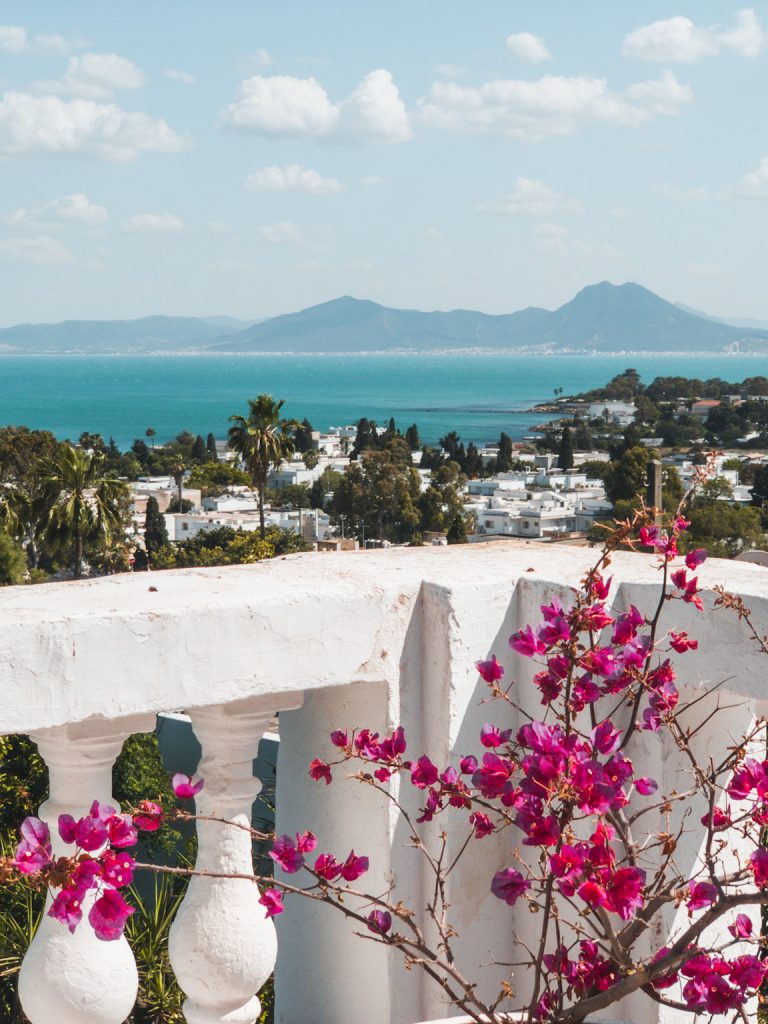 A Guide to The Ruins of Carthage Tunisia