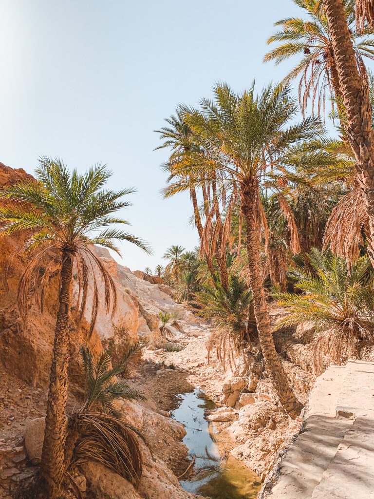 A Guide: What to do in Tozeur Tunisia