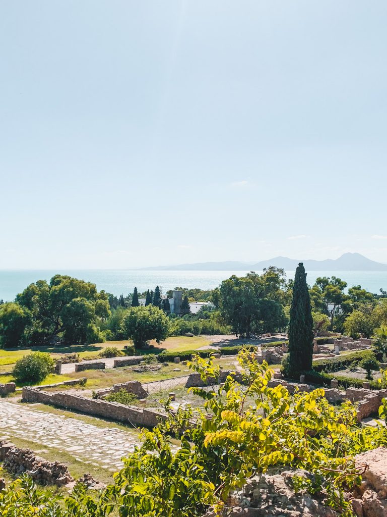 A Guide of The Best Things to Do in Tunis